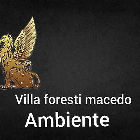 Ambiente Foresti Macedo Gramado Exteriör bild